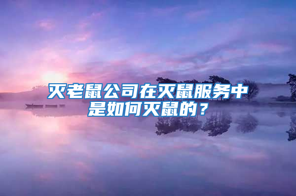 灭老鼠公司在灭鼠服务中是如何灭鼠的？