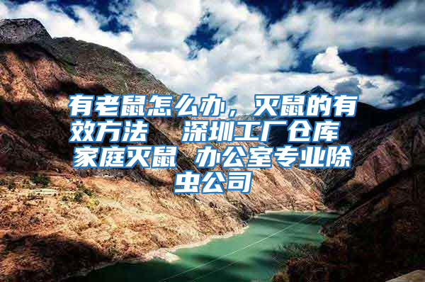 有老鼠怎么办，灭鼠的有效方法  深圳工厂仓库 家庭灭鼠 办公室专业除虫公司