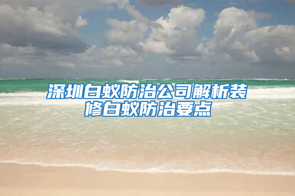 深圳白蚁防治公司解析装修白蚁防治要点