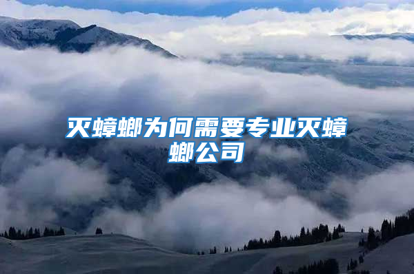 灭蟑螂为何需要专业灭蟑螂公司