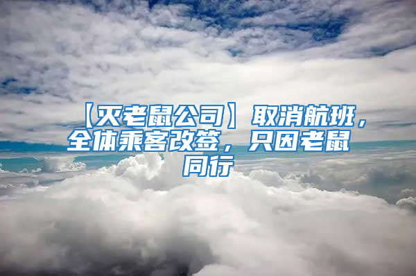 【灭老鼠公司】取消航班，全体乘客改签，只因老鼠同行