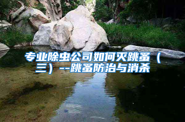 专业除虫公司如何灭跳蚤（三）--跳蚤防治与消杀