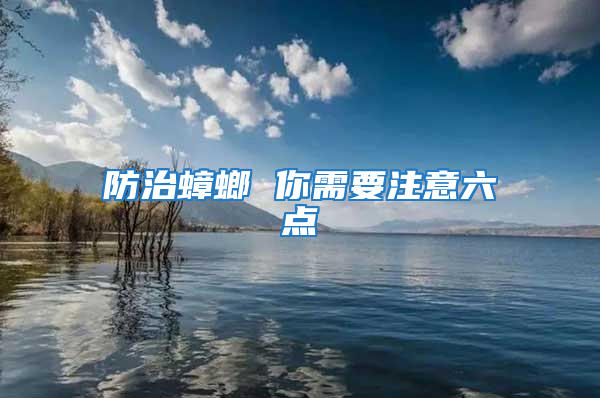 防治蟑螂 你需要注意六点