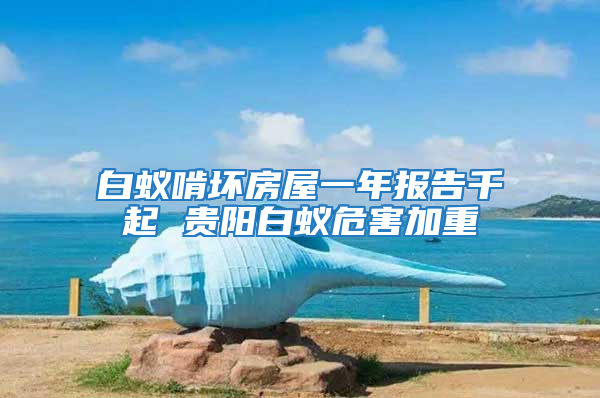 白蚁啃坏房屋一年报告千起 贵阳白蚁危害加重