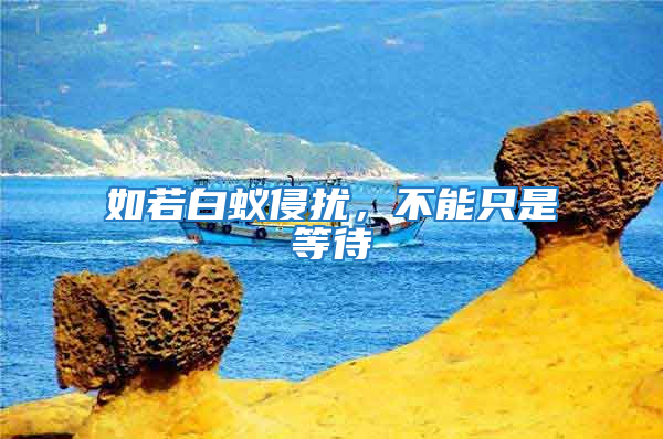 如若白蚁侵扰，不能只是等待