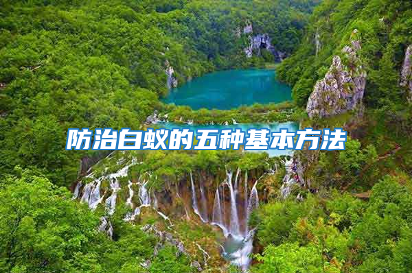 防治白蚁的五种基本方法