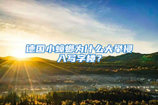 德国小蟑螂为什么大举侵入写字楼？
