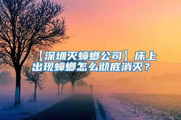 【深圳灭蟑螂公司】床上出现蟑螂怎么彻底消灭？