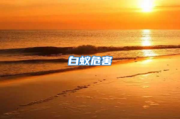 白蚁危害