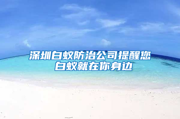 深圳白蚁防治公司提醒您 白蚁就在你身边