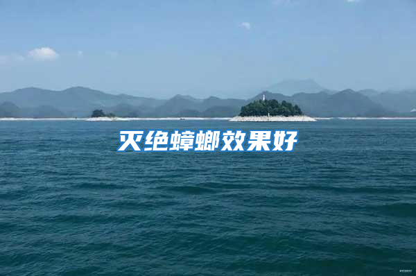 灭绝蟑螂效果好