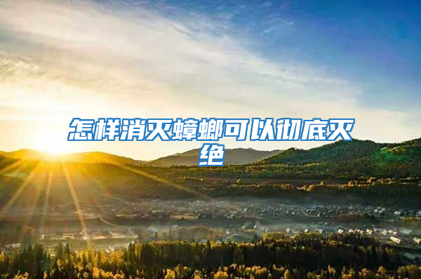 怎样消灭蟑螂可以彻底灭绝