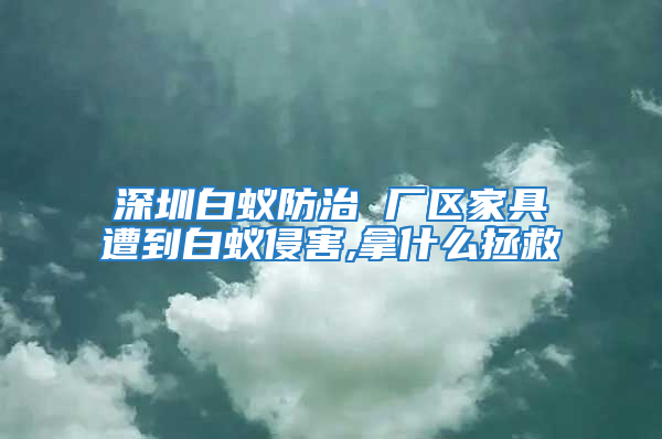 深圳白蚁防治 厂区家具遭到白蚁侵害,拿什么拯救