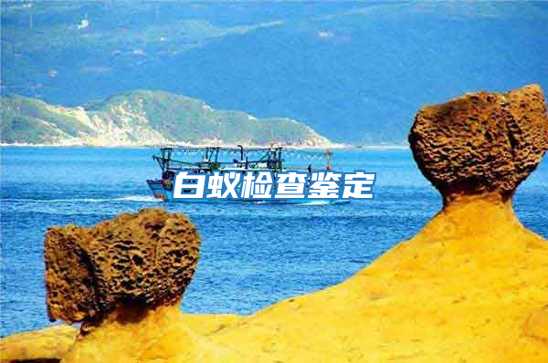 白蚁检查鉴定