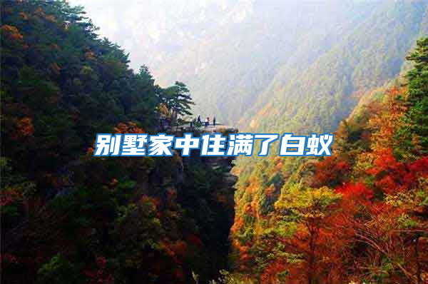 别墅家中住满了白蚁