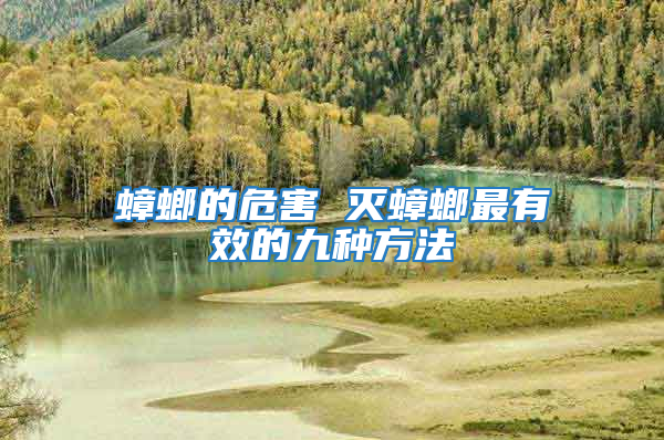 蟑螂的危害 灭蟑螂最有效的九种方法