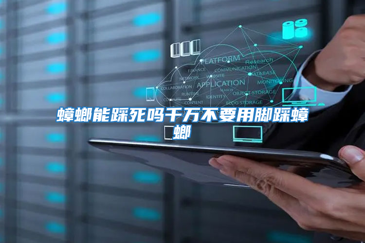 蟑螂能踩死吗千万不要用脚踩蟑螂