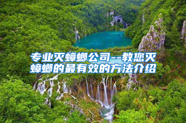 专业灭蟑螂公司--教您灭蟑螂的最有效的方法介绍