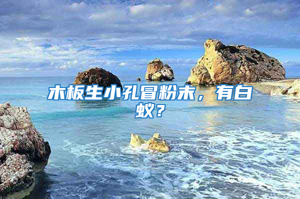 木板生小孔冒粉末，有白蚁？