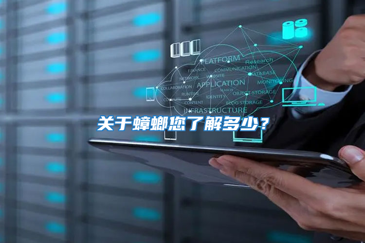 关于蟑螂您了解多少？
