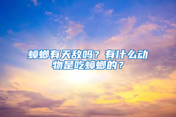 蟑螂有天敌吗？有什么动物是吃蟑螂的？