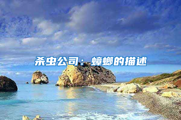 杀虫公司：蟑螂的描述