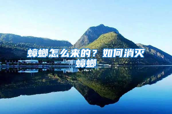 蟑螂怎么来的？如何消灭蟑螂