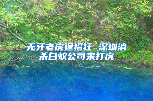 无牙老虎逞猖狂 深圳消杀白蚁公司来打虎