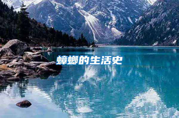 蟑螂的生活史