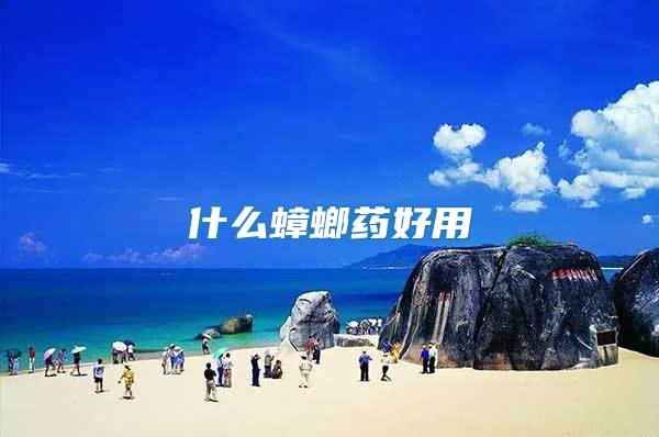 什么蟑螂药好用