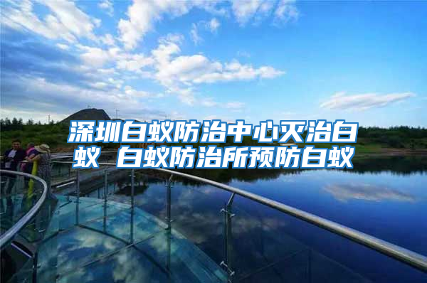深圳白蚁防治中心灭治白蚁 白蚁防治所预防白蚁