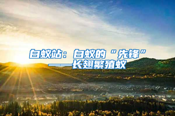 白蚁站：白蚁的“先锋”——长翅繁殖蚁