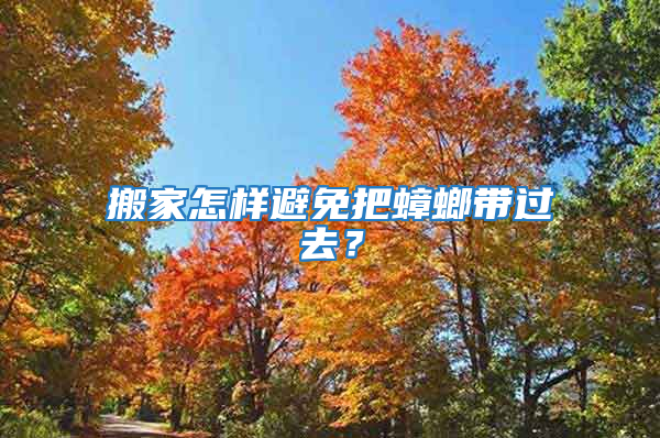 搬家怎样避免把蟑螂带过去？
