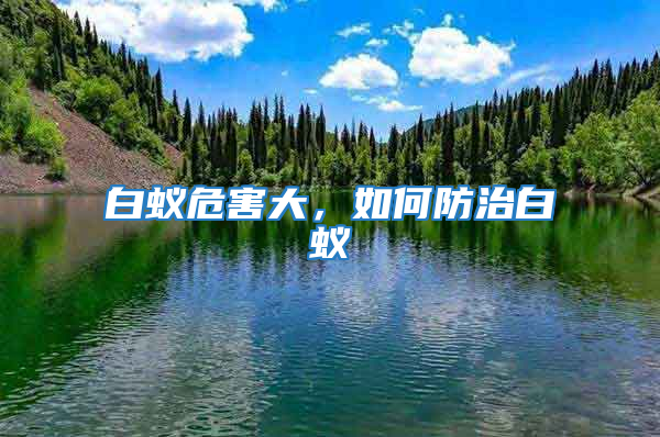 白蚁危害大，如何防治白蚁