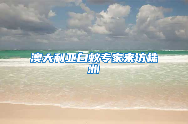 澳大利亚白蚁专家来访株洲