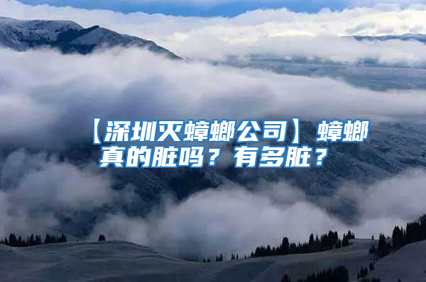 【深圳灭蟑螂公司】蟑螂真的脏吗？有多脏？