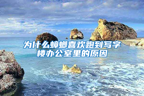 为什么蟑螂喜欢跑到写字楼办公室里的原因