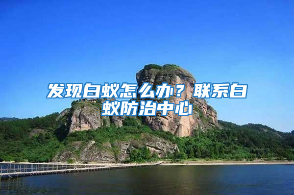发现白蚁怎么办？联系白蚁防治中心