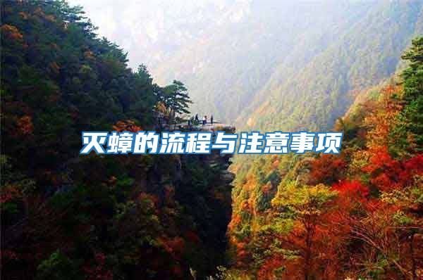灭蟑的流程与注意事项