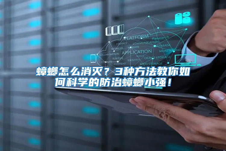 蟑螂怎么消灭？3种方法教你如何科学的防治蟑螂小强！