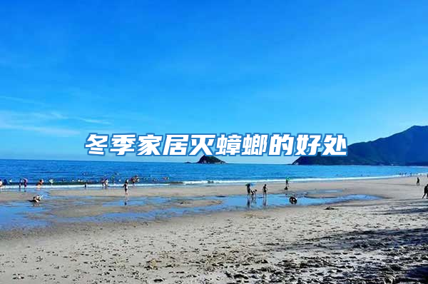 冬季家居灭蟑螂的好处