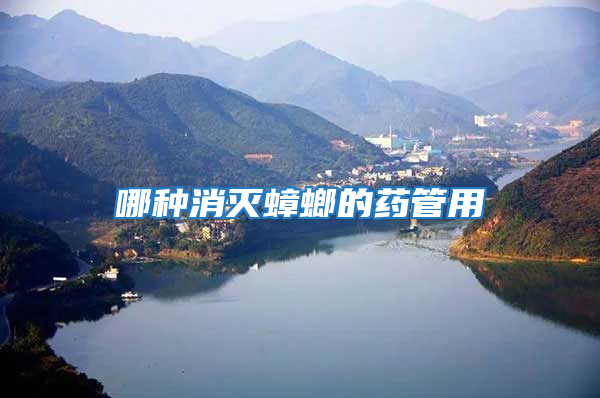 哪种消灭蟑螂的药管用