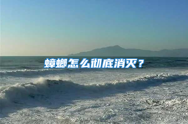 蟑螂怎么彻底消灭？