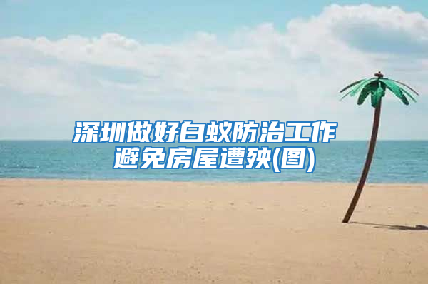 深圳做好白蚁防治工作 避免房屋遭殃(图)