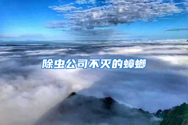 除虫公司不灭的蟑螂