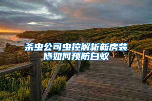杀虫公司虫控解析新房装修如何预防白蚁