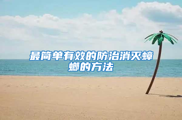 最简单有效的防治消灭蟑螂的方法