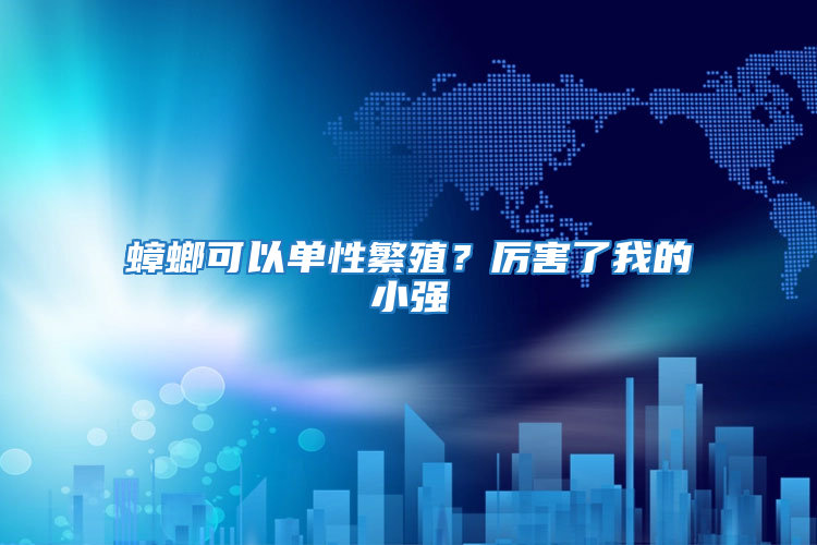 蟑螂可以单性繁殖？厉害了我的小强