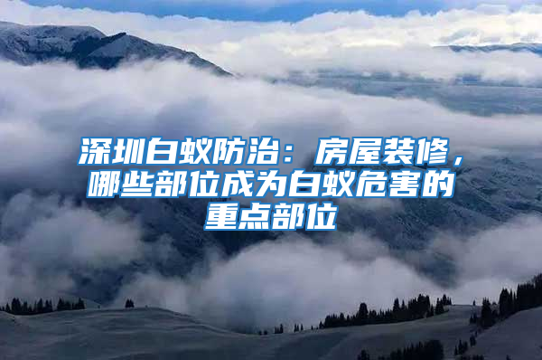 深圳白蚁防治：房屋装修，哪些部位成为白蚁危害的重点部位