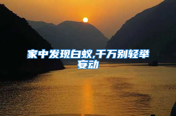 家中发现白蚁,千万别轻举妄动
